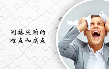 采林科技CEO采访某世界500强企业亚太与中国区 产品采购经理 刘依诺 女士